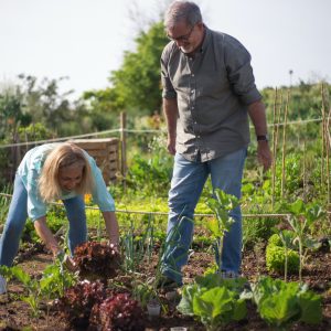 La permaculture au service du bien-être de la nature et des hommes